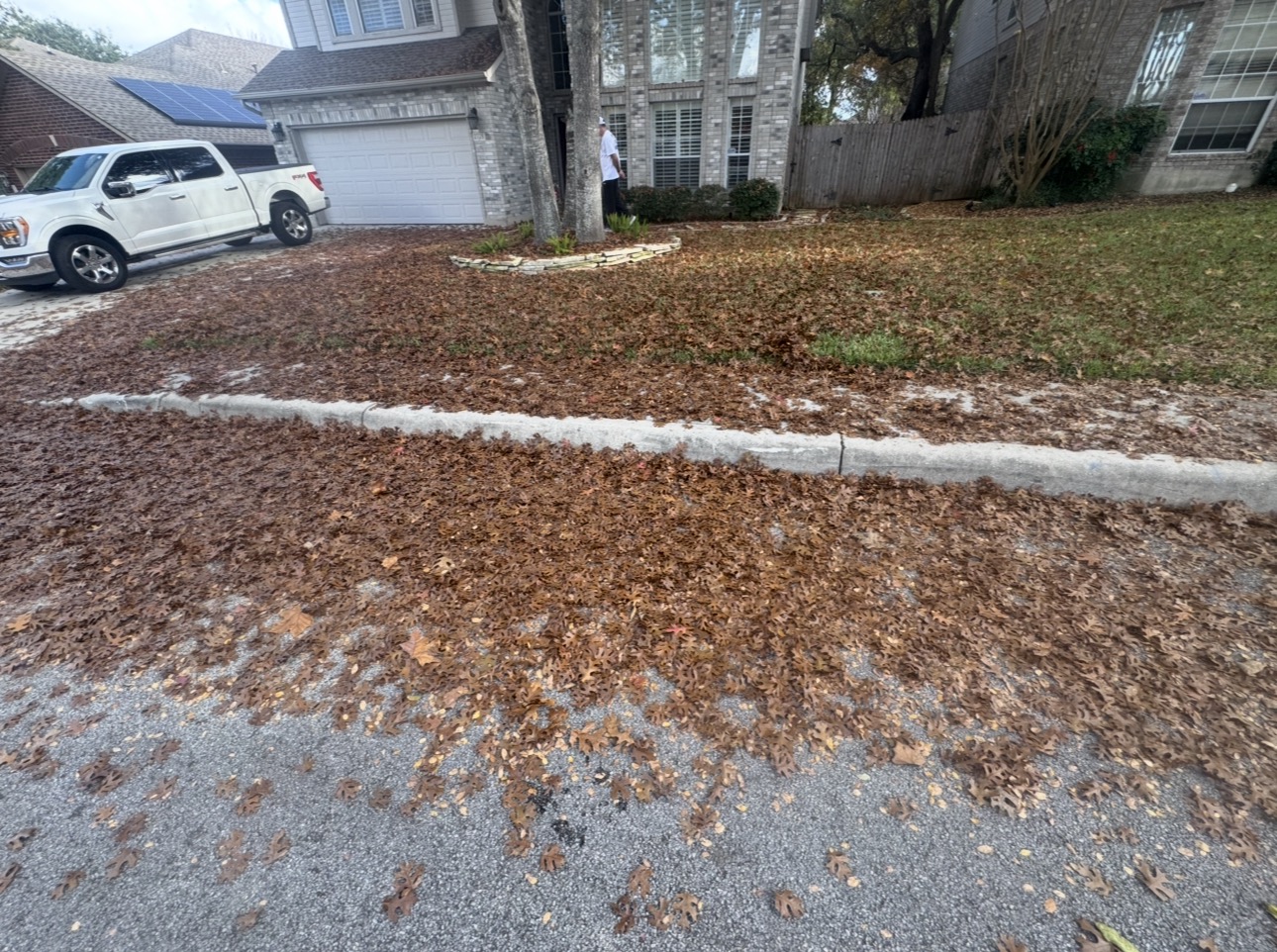 Howdy Lawn Care lawn transformation