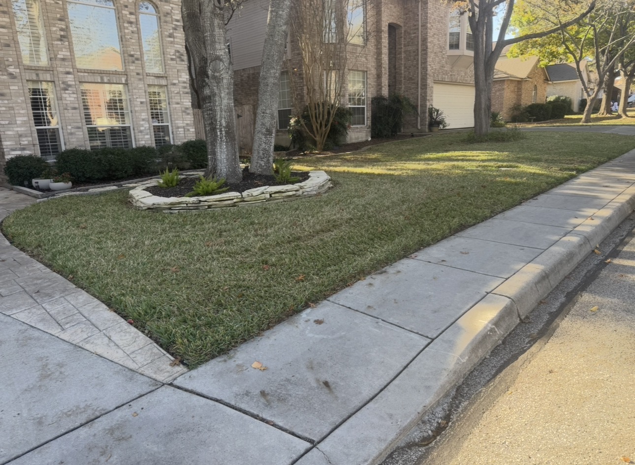Howdy Lawn Care lawn transformation